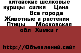 китайские шелковые курицы (силки) › Цена ­ 2 500 - Все города Животные и растения » Птицы   . Московская обл.,Химки г.